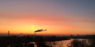 Air Pollution May Impact Brain Development