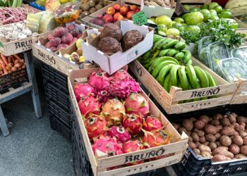 The Secret Power Of Fruits And Vegetables