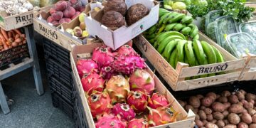 The Secret Power Of Fruits And Vegetables