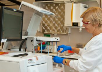 Which Enzyme Protects Telomeres And Slows Cellular Aging?