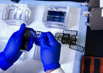 Which Process Repairs Double-Strand DNA Breaks?