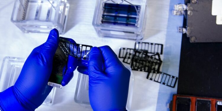 Which Process Repairs Double-Strand DNA Breaks?