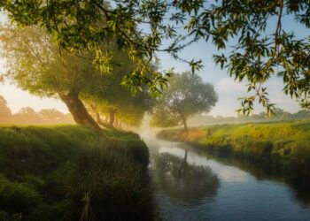 Fairy Tales Linked To Better Sleep Routines
