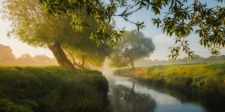 Fairy Tales Linked To Better Sleep Routines