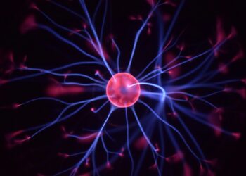 Which Brain Region Shrinks With Age But Grows With Regular Exercise?