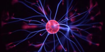 Which Brain Region Shrinks With Age But Grows With Regular Exercise?