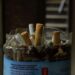 FDA Seeks Nicotine Limits From Biden Administration
