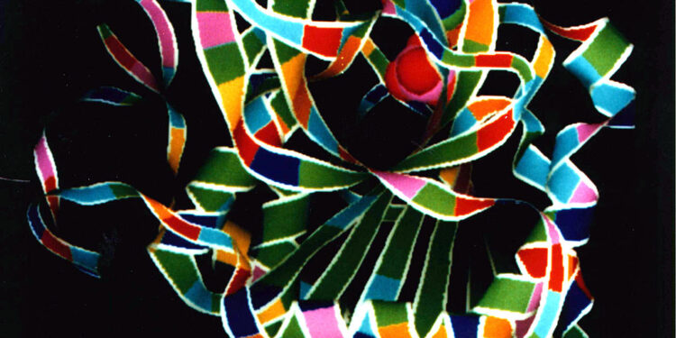 Which Mineral Activates Over 300 Enzymes?