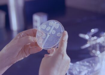 State Faces Record-Breaking Tuberculosis Outbreak