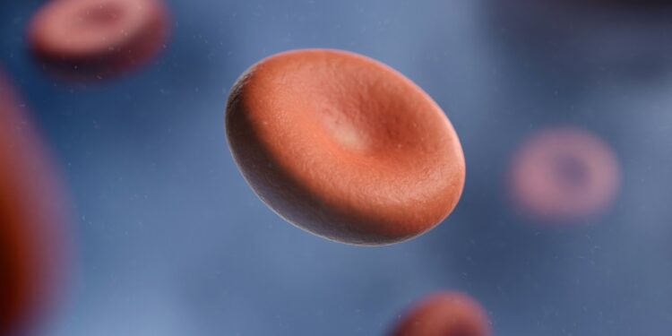 What Is It Called When The Immune System Attacks Platelets?