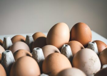 Bird Flu Sparks Massive Spike In Egg Prices Across U.S.
