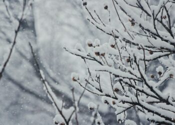 What Is The Main Benefit Of Cold Exposure On The Body?