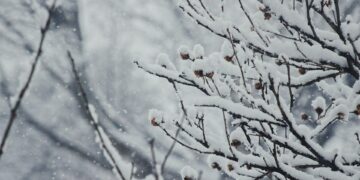 What Is The Main Benefit Of Cold Exposure On The Body?