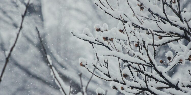 What Is The Main Benefit Of Cold Exposure On The Body?