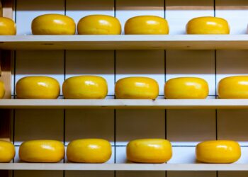 Plant-Based Cheese Alternatives Poised To Take Over