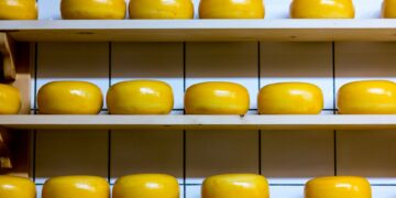 Plant-Based Cheese Alternatives Poised To Take Over