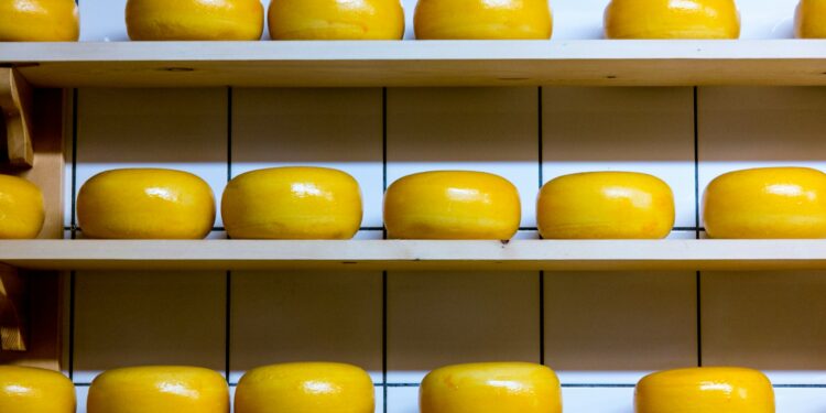 Plant-Based Cheese Alternatives Poised To Take Over
