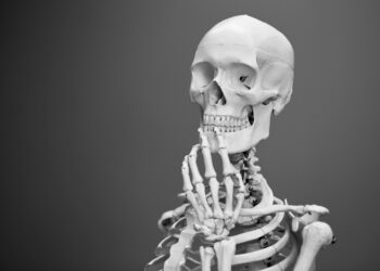 Which Part Of The Body Has The Smallest Bones?