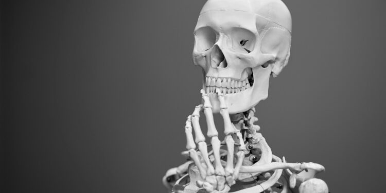 Which Part Of The Body Has The Smallest Bones?