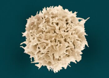 Surprising Link Between White Blood Cells And COVID Severity