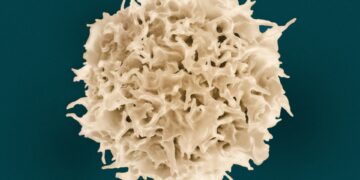 Surprising Link Between White Blood Cells And COVID Severity