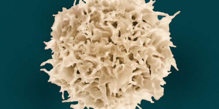 Surprising Link Between White Blood Cells And COVID Severity