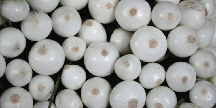 Supplier Caught With Multiple Violations After E. Coli Tragedy