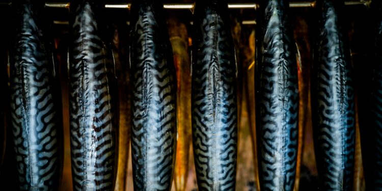 Why Are Omega-3s Essential For Brain Health?