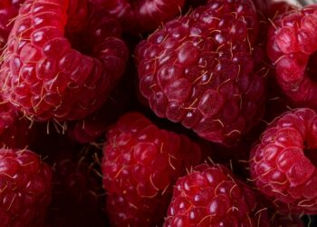 Which Vitamin Helps The Body Absorb Iron More Effectively?