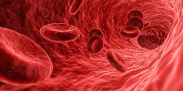 What Is The Term For A Deficiency In Red Blood Cells Causing Fatigue And Weakness?