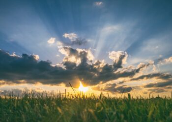 The Surprising Link Between Sunshine And MS