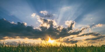 The Surprising Link Between Sunshine And MS