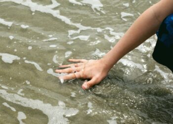 What Is The Term For A Condition Where Senses Blend, Like Tasting Words?