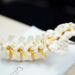 What Condition Causes Abnormal Spine Curvature?