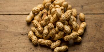 The Key To Beating Mild Peanut Allergies