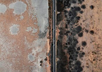 The Household Threat Causing Brain Fog And Allergies