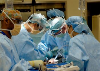 Surgeons Achieve Fourth Successful Animal Kidney Transplant