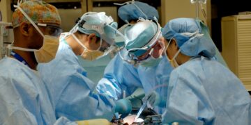 Surgeons Achieve Fourth Successful Animal Kidney Transplant