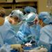Surgeons Achieve Fourth Successful Animal Kidney Transplant