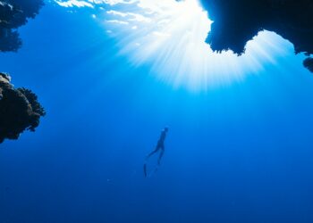 What Is The Technical Term For “Swimmer’s Ear”?