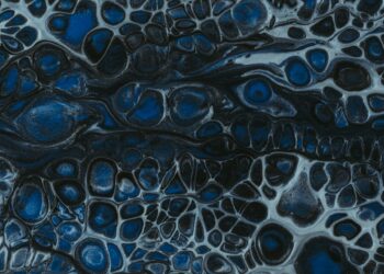 What Term Describes Programmed Cell Death That Removes Damaged Cells?