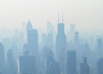 Air Pollution Threatens Unborn Babies