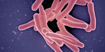 Deadly Infection Resurges Across The U.S.