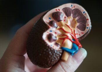 Major Medical Advancement Boosts Kidney Transplants
