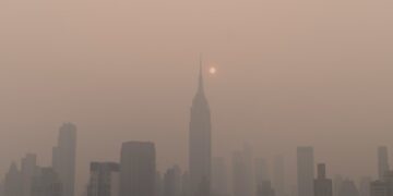 Air Quality Crisis Tied To Surging Childhood Asthma