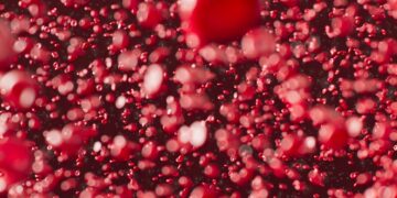 Which Organ Removes Old Red Blood Cells From Circulation?