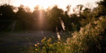 Climate Change Supercharges Allergy Season