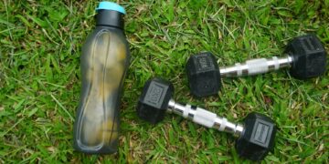 What Fuels Cells During Moderate Exercise?