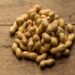 Breakthrough Treatment Helps Adults Tolerate Peanuts