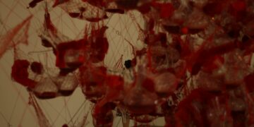 Which Process Clears Blood Waste Through The Kidneys?